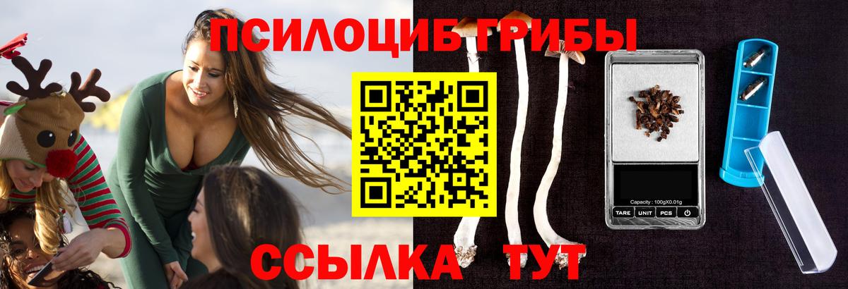 Псилоцибиновые грибы Psilocybe  Вход с VPN  Новый Уренгой 